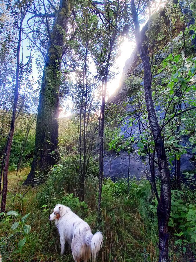 Forest Lane Clarens Zewnętrze zdjęcie