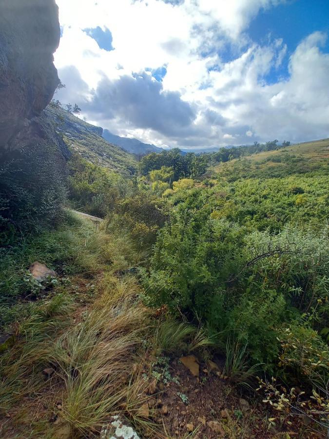 Forest Lane Clarens Zewnętrze zdjęcie
