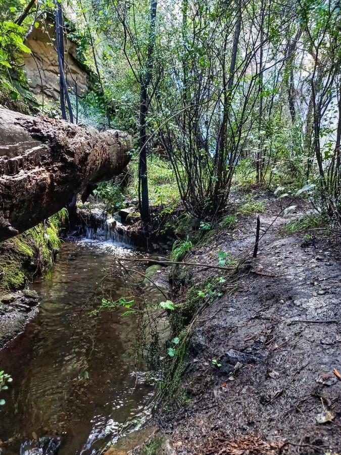 Forest Lane Clarens Zewnętrze zdjęcie