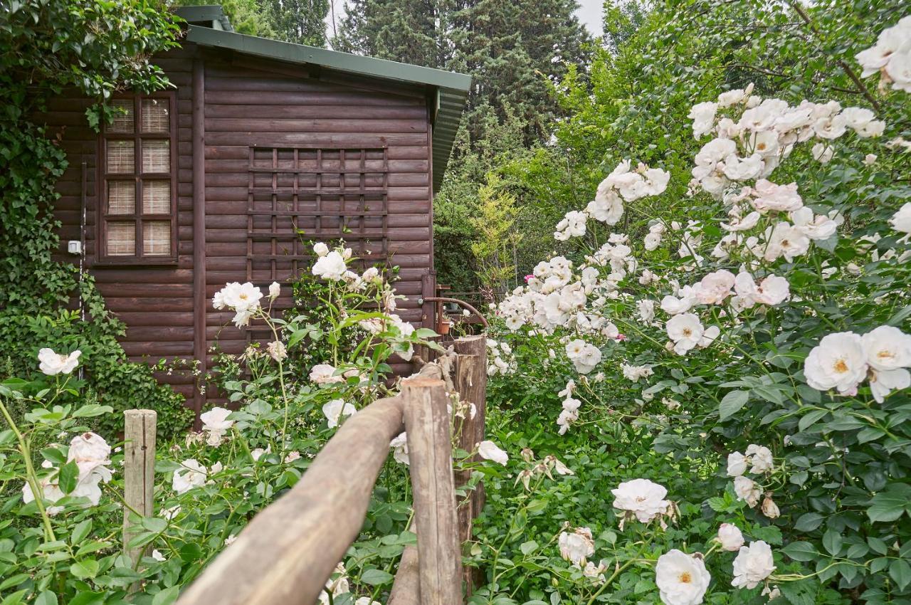 Forest Lane Clarens Zewnętrze zdjęcie