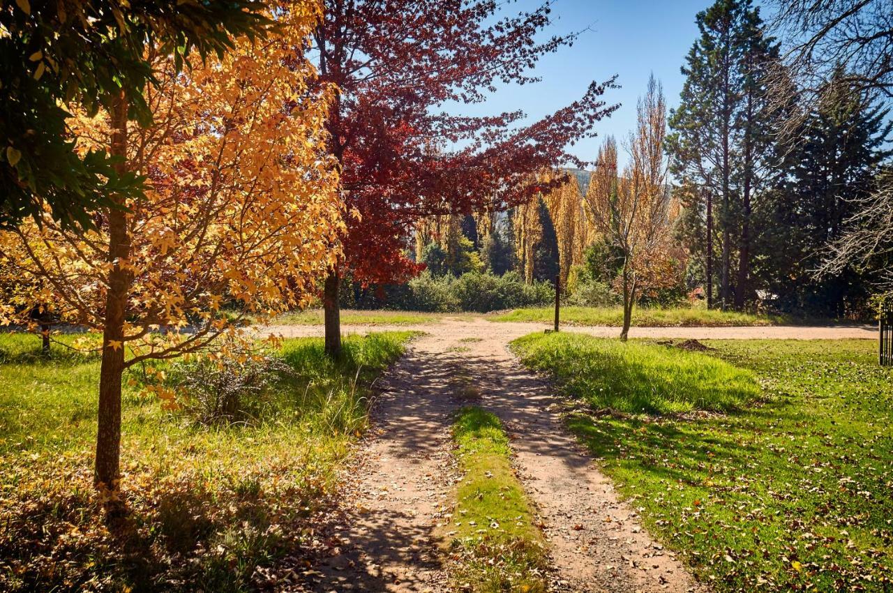 Forest Lane Clarens Zewnętrze zdjęcie