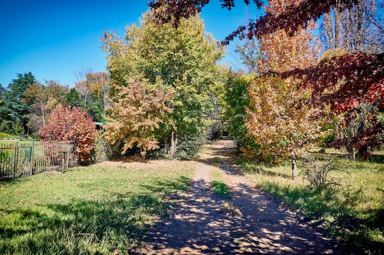 Forest Lane Clarens Zewnętrze zdjęcie